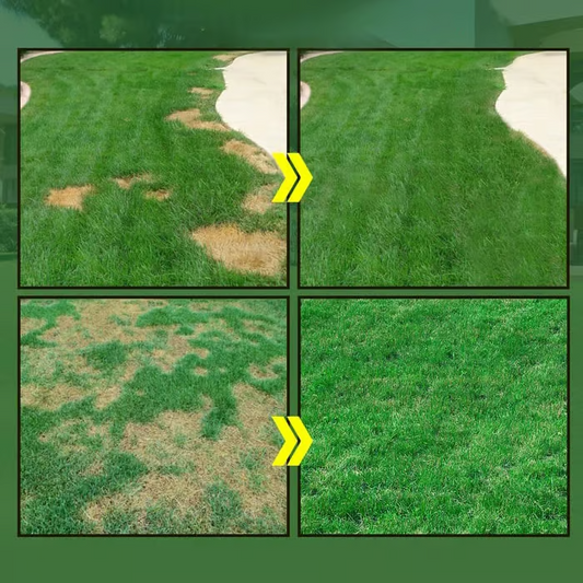 GreenRevive HydroSeeding Lawn Kit